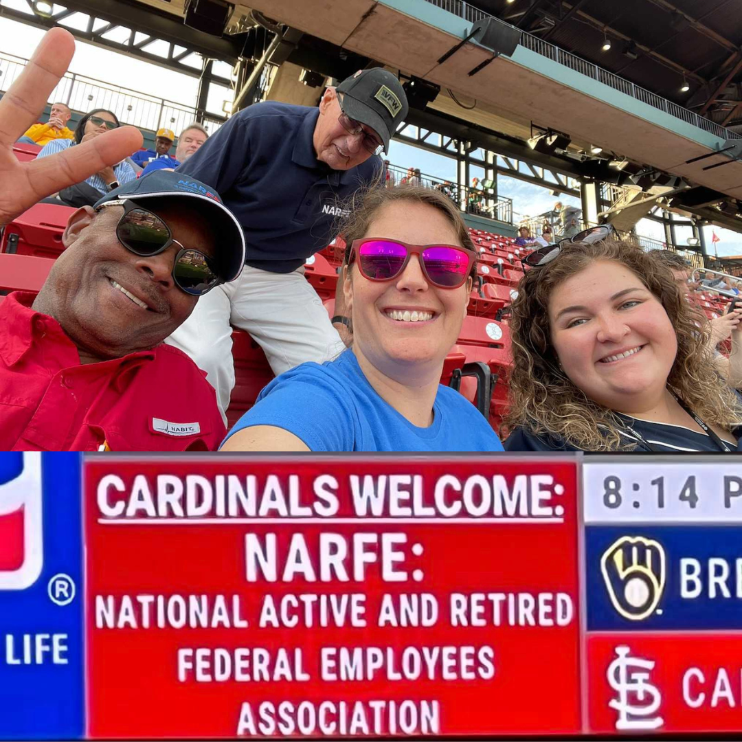 narfe-stl-cardinals-ballgame